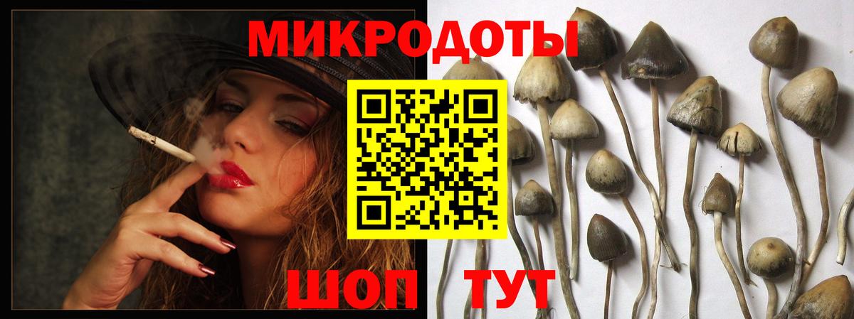 Псилоцибиновые грибы мухоморы  Вход с VPN  Рославль  Псилоцибиновые грибы Psilocybine cubensis 