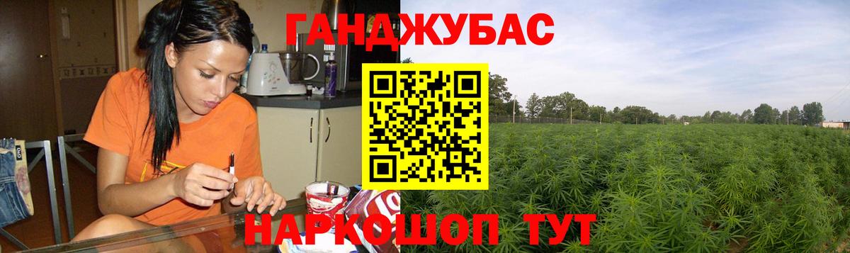 Бошки Шишки планчик Рославль